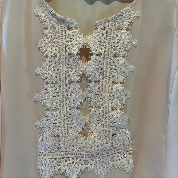 Zac & Rachel Women Top M Pink Blush Lace Embroidery Panel Front Sleeveless Sheer - Picture 5 of 15